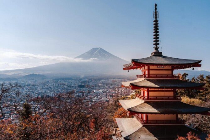 Mount Fuji Private Tour from Tokyo with English Speaking Driver - Oshino Hakkai Springs: What You Can Taste and See Up Close