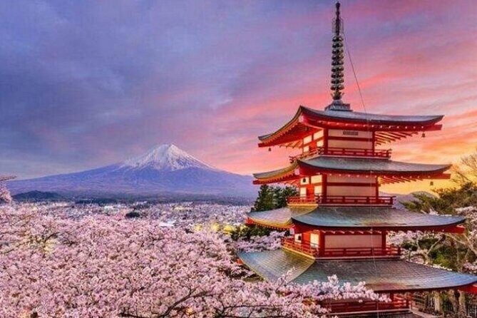 Mount Fuji Private Tour from Tokyo with English Speaking Driver - Mt. Fuji 5th Station: Cooler Air, Shrines, and a Real Altitude Feel