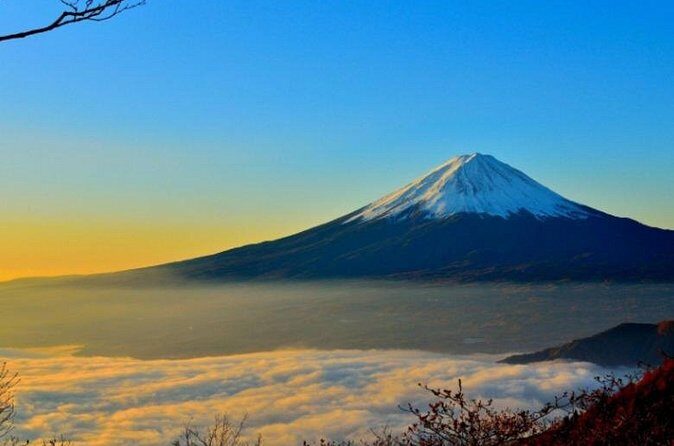 Mount Fuji Private Tour from Tokyo with English Speaking Driver - Price and Value: What You’re Really Paying For
