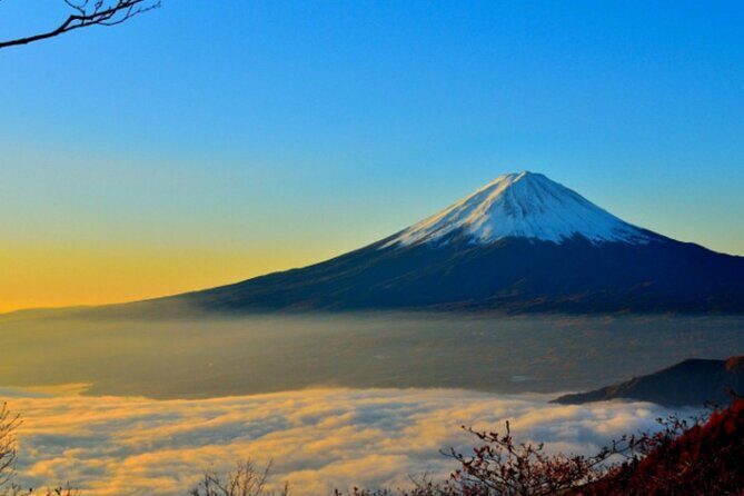 Mount Fuji Private Tour from Tokyo with English Speaking Driver - Tokyo-to-Fuji Timing: The 7–8 Hour Reality