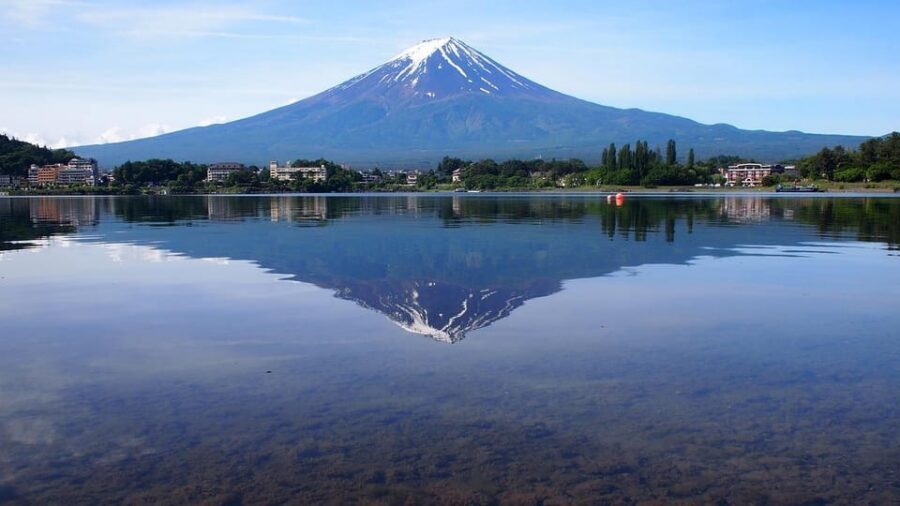 Mount Fuji - Private Tour with English Speaking Chauffeur - How a private Tokyo-to-Fuji day really feels