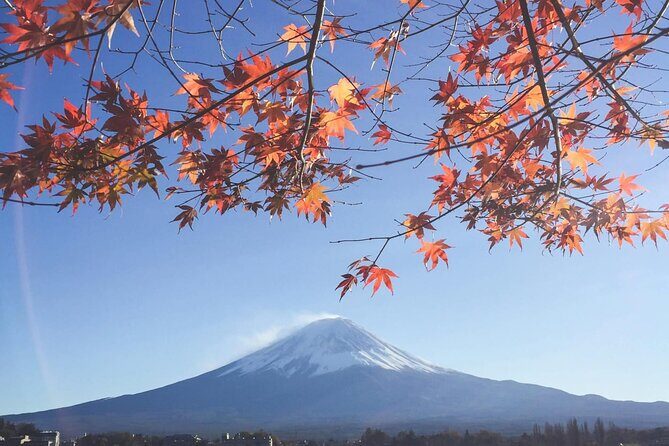 Mount Fuji Private Tour With English Speaking Driver - Price and logistics: when $400 per group is good value