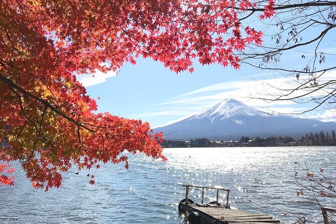 Mount fuji Private Tour - Price and value: what the $447 per group really buys