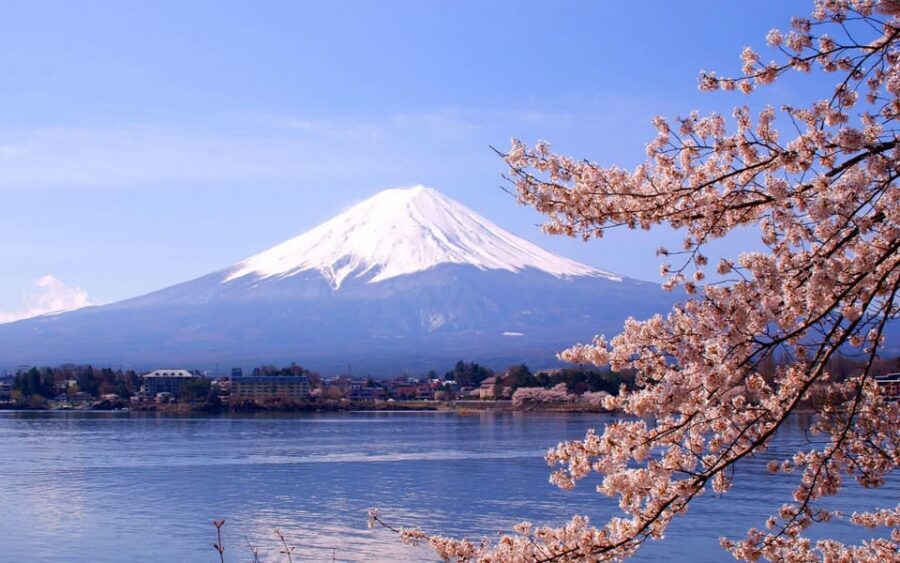 Mount Fuji Pvt. Full Day Trip with English-Speaking Driver - A private Mount Fuji day that feels like a plan, not a shuffle