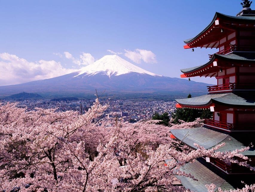 Mount Fuji Pvt. Full Day Trip with English-Speaking Driver - Tokyo pickup to the road: comfort matters more than you think