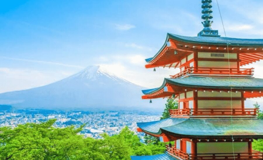 Mount Fuji Sightseeing tour with English speaking guide - Price and Logistics: what you’re really paying for
