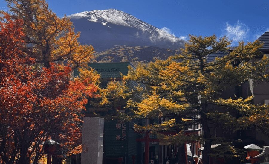 Mount Fuji Sightseeing tour with English speaking guide - Your day plan: how a “customizable” Fuji trip actually works