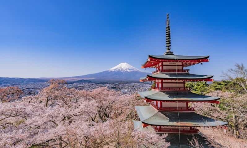 Mount Fuji Trip with English speaking guide ( customizable) - Leaving Tokyo: what “12 hours” feels like in real life