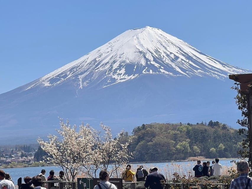 Mount Fuji,Lake Kawaguchiko Private Tour By Car With Pick Up - Fuji-Q Highland and Fujiyoshida: time for a change of pace