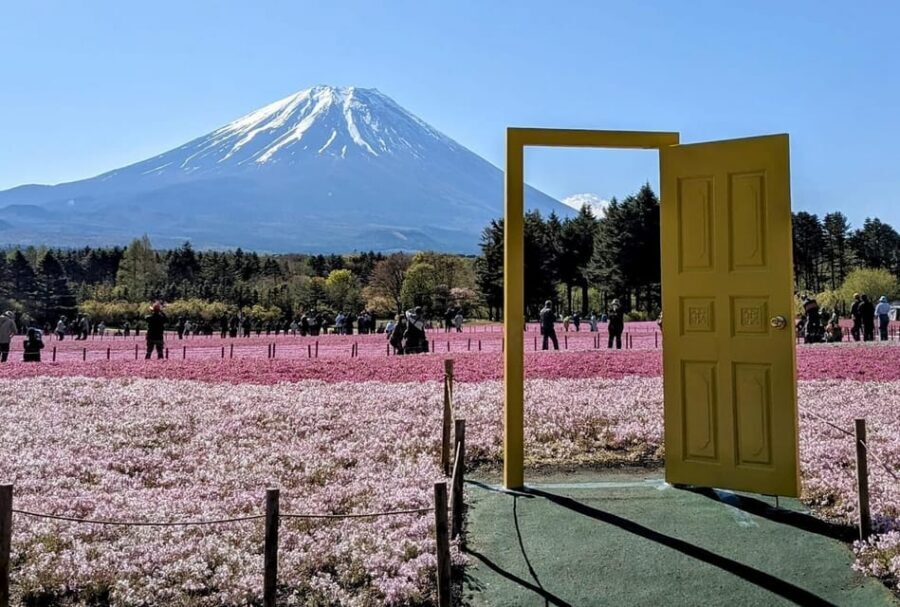 Mount Fuji,Lake Kawaguchiko Private Tour By Car With Pick Up - Who this tour suits best