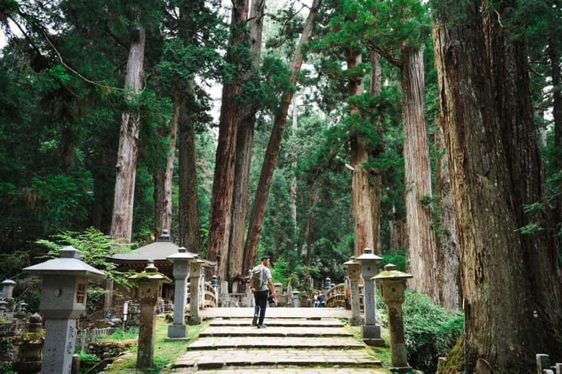 Mount Koya from Osaka: Cultural Small Group Day Tour - Key things you’ll remember from Mount Koya