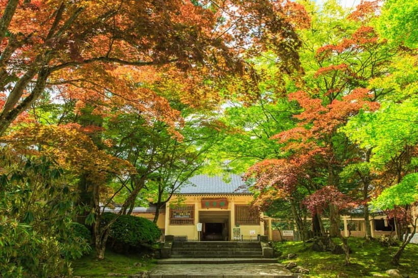 Mount Koya from Osaka: Cultural Small Group Day Tour - Walking, weather, and what to bring up the mountain