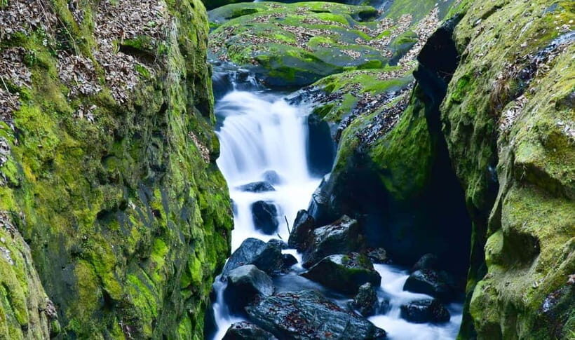 Mt. Aso & Takachiho Gorge Tour with Optional Boat Ride - What walking looks like (and who should rethink this trip)