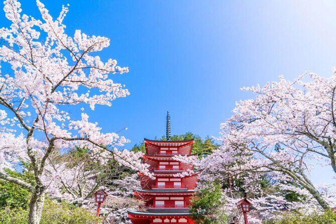 Mt. Fuji 5th, Oshino Hakkai, Onsen Full-Day Trip From Tokyo - Arakurayama Sengen Park: your winter replacement with serious photo payoff