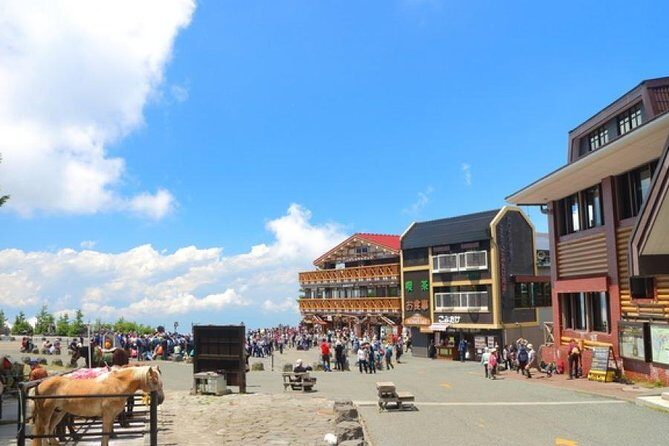 Mt. Fuji 5th Station, Owakudani Ropeway, Pirate Ship plus Outlet shopping! - Snow Season Switch: When Fuji 5th Station Is Replaced