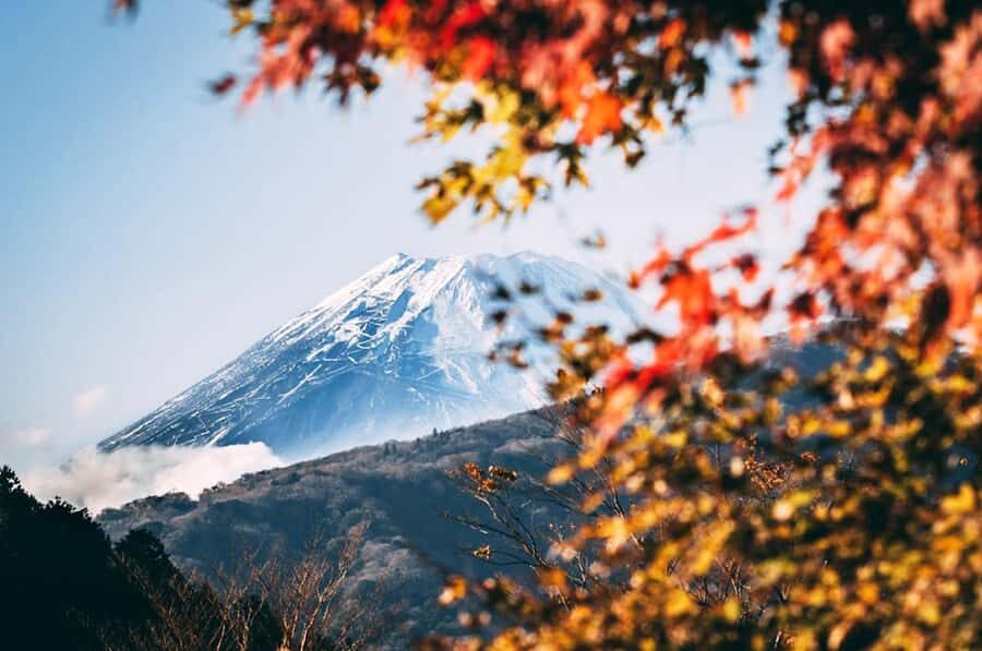 Mt. Fuji 6 Attractions Tour: Lake Kawaguchi, Oshino Hakkai - Key moments that make this Mt. Fuji day trip work