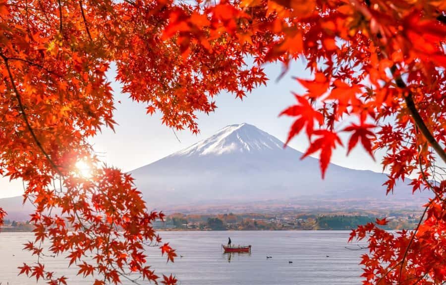 Mt. Fuji 6 Attractions Tour: Lake Kawaguchi, Oshino Hakkai - Arakura Sengen Shrine + Shinkurayama Sengen Park: the 398-step view everyone chases