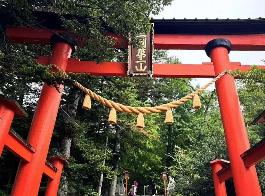 Mt. Fuji 6 Attractions Tour: Lake Kawaguchi, Oshino Hakkai - Honcho Street + the Hikawa Clock Shop: nostalgia with a Fuji twist