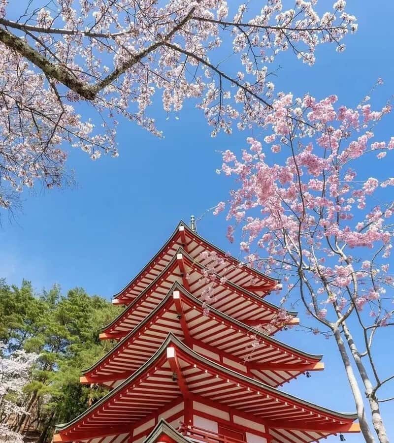 Mt. Fuji 6 Attractions Tour: Lake Kawaguchi, Oshino Hakkai - Oshino Hakkai: eight springs that come from Fuji’s snow