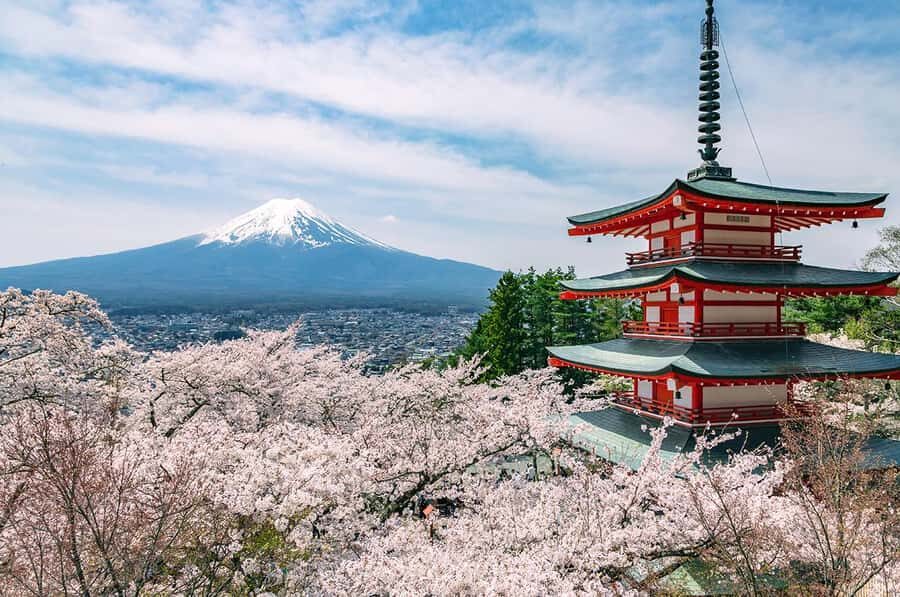 Mt. Fuji 6 Attractions Tour: Lake Kawaguchi, Oshino Hakkai - Seasonal limited add-ons: Maple Corridor and Cherry Blossom Festival