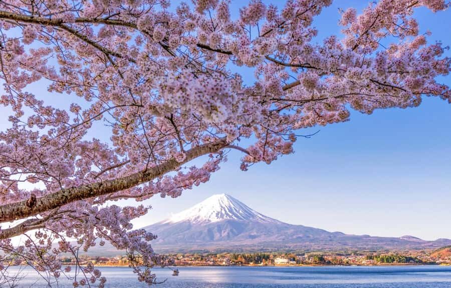 Mt. Fuji 6 Attractions Tour: Lake Kawaguchi, Oshino Hakkai - Morning in Tokyo: what the coach day feels like (and what to watch)