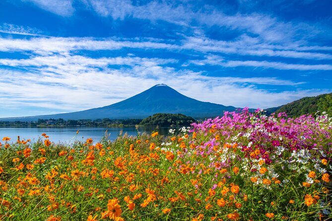 Mt. Fuji and Hakone 1 Day Bus Tour + Kimono Experience - Oishi Park: Your Flower-Framed Fuji Photo Moment