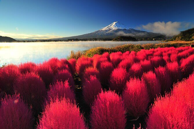 Mt. Fuji and Hakone 1 Day Bus Tour + Kimono Experience - Odawara Station Transfer and the Odakyu Romancecar Return Option