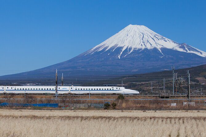 Mt. Fuji and Hakone Day Trip From Tokyo with Bullet Train Option - Shinjuku meeting at the Robert Indiana Love landmark