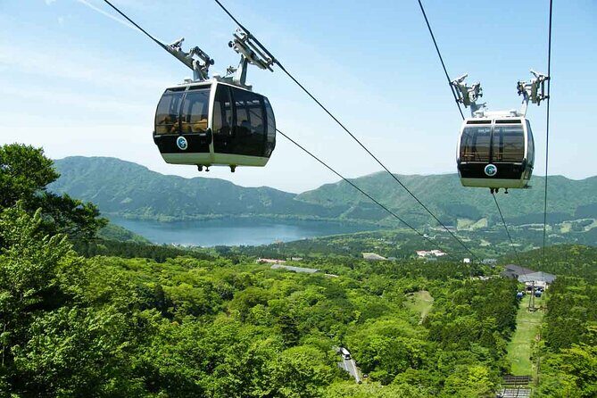 Mt.Fuji and Hakone Private SightSeeing Day Tour With Guide - Price and Value for a Private Group Up to 5