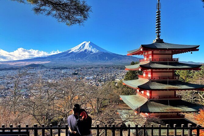 Mt.Fuji and Hakone Private SightSeeing Day Tour With Guide - Should You Book This Mt. Fuji and Hakone Private Tour?