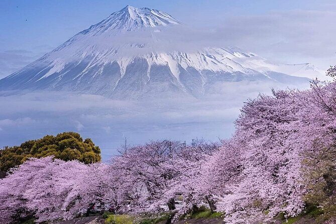 Mt. Fuji and Hakone Private Tour with English Speaking Driver - Quick takeaways before you go
