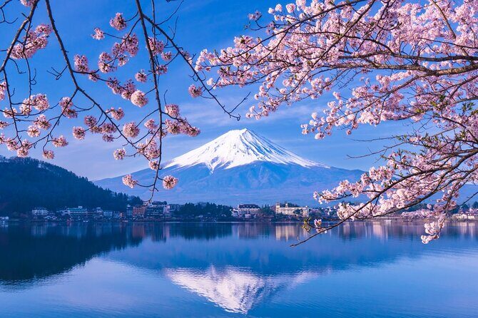 Mt. Fuji and Hakone Private Tour with English Speaking Driver - Private transport that saves you from Fuji-day headaches