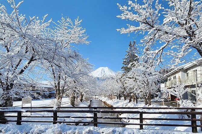 Mt. Fuji and Hakone Private Tour with English Speaking Driver - Lake Kawaguchiko: Fuji views with a ropeway option and hot-spring energy