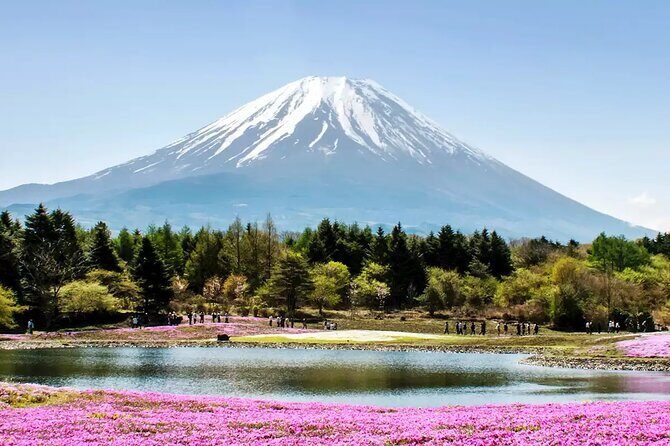 Mt. Fuji and Hakone Private Tour with English Speaking Driver - Lake Ashinoko in Hakone: a scenic break with Pirate Cruise as an option