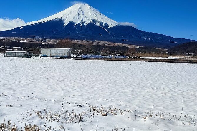 Mt. Fuji and Hakone Private Tour with English Speaking Driver - Mt. Fuji 5th Station at 2,200m: the closest car-access to the top