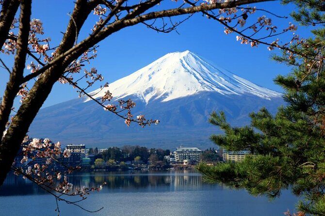 Mt.Fuji and Hakone Tour - Key Things That Make This Tour Worth Your Time