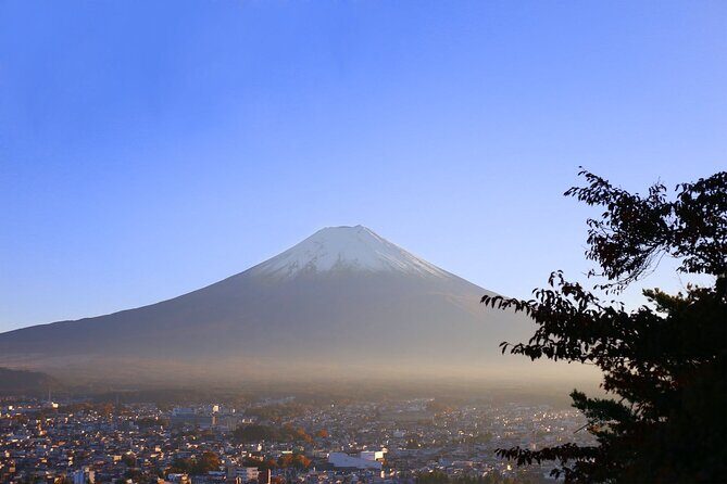 Mt. Fuji and Lake Kawaguchi Day Trip with Private Car - Narusawa Ice Cave and Fugaku Wind Cave: the quiet, cool detour