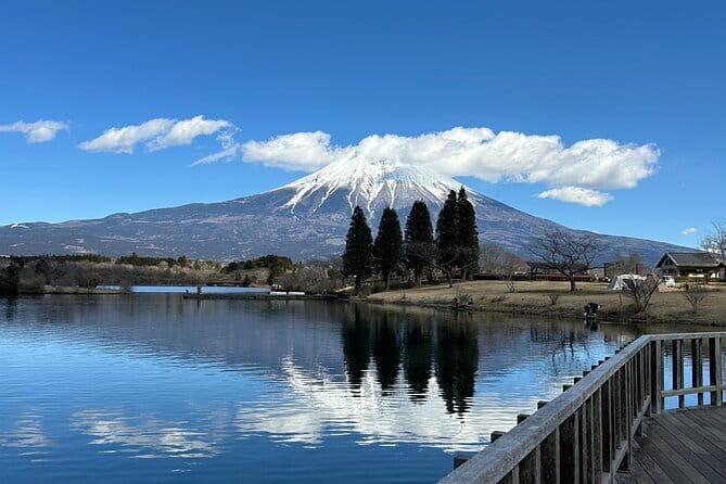 Mt.Fuji area Tour from Shimizu Port /Sedan Taxi - How this 5-hour Shimizu shore trip stays realistic