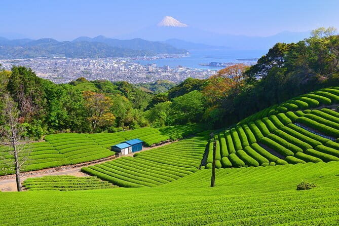 Mt.Fuji area Tour from Shimizu Port /Sedan Taxi - Fujisan Hongu Sengen Taisha: the faith engine behind Fuji