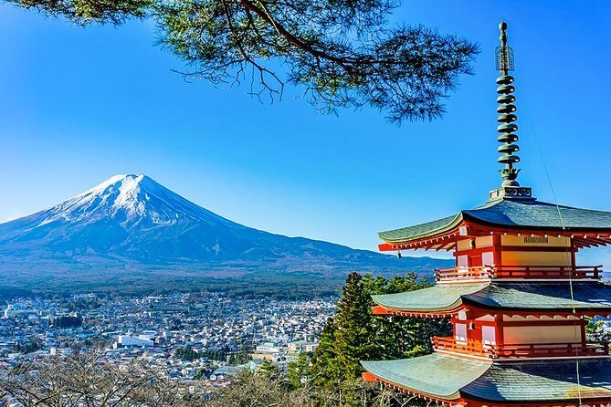 Mt. Fuji Area Tour Tokyo DEP: English Speaking Driver, No Guide - Key things to know before you go