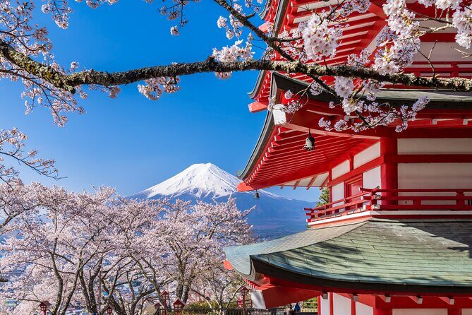 Mt. Fuji Area Tour Tokyo DEP: English Speaking Driver, No Guide - Mt. Kachi Kachi Ropeway: When You Want Elevation Fast