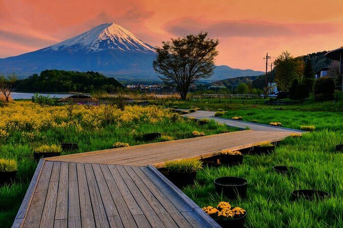 Mt. Fuji Area Tour Tokyo DEP: English Speaking Driver, No Guide - Oshino Hakkai: Fuji’s Snowmelt Water Story in Eight Ponds