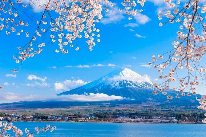 Mt. Fuji Area Tour Tokyo DEP: English Speaking Driver, No Guide - Choosing Your 3–4 Stops: Build the Day That Matches Your Priorities