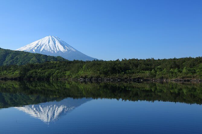 Mt Fuji Customizable Private Tour English Speaking Driver Pick-up - A private Fuji day that starts in Shibuya