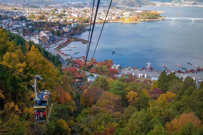 Mt Fuji Customizable Private Tour English Speaking Driver Pick-up - Saiko Iyashi no Sato Nenba: a traditional village with seasonal scenery
