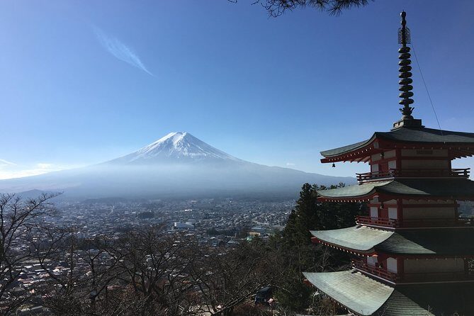 Mt. Fuji Customized Private Tour: See Top Attractions in 1 Day - Choosing your priorities: Viewdeck vs ropeway vs forest