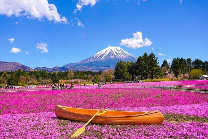 Mt. Fuji Day tour: Kawaguchi Lake Ropeway, Matcha, Oshino Hakkai - Key Things to Know Before You Go
