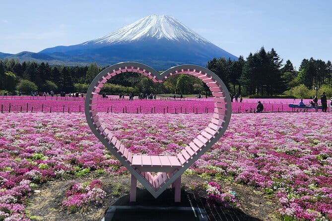 Mt. Fuji Day tour: Kawaguchi Lake Ropeway, Matcha, Oshino Hakkai - Should You Book This Mt. Fuji Tour?