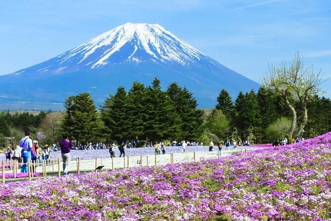 Mt. Fuji Day tour: Kawaguchi Lake Ropeway, Matcha, Oshino Hakkai - Matcha Workshop: Quick, Hands-On, and Actually Cultural