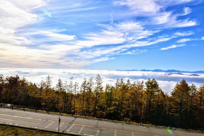 Mt Fuji Day Trip from Tokyo by Car with Photographer Guide - Stop 1: Arakurayama Sengen Park and the 400 Steps to a Big View